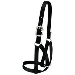 Cattle Halter For Barn, Black Nylon, Medium, 1-In.