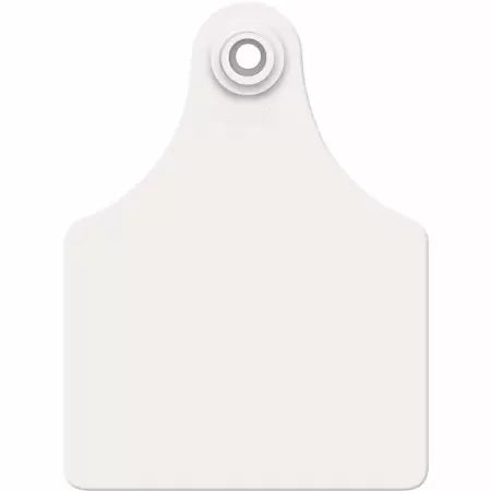 Allflex Cattle Blank Ear Tags White