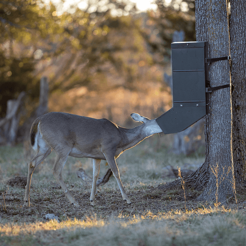 All Seasons Feeders EZ Tree Feeder