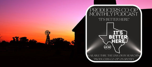 Tomcat® Glue Traps - New Braunfels, TX - Seguin, TX - La Vernia, TX -  Seguin, TX - La Vernia, TX - Producers Co-op New Braunfels