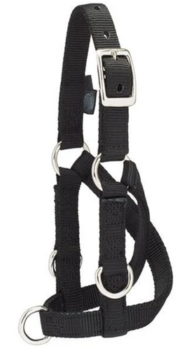 Weaver Leather Sheep & Goat Training Halter (Large Black)