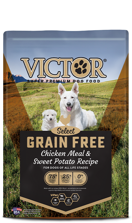 Victor Pet Grain Free Chicken Meal & Sweet Potato Recipe