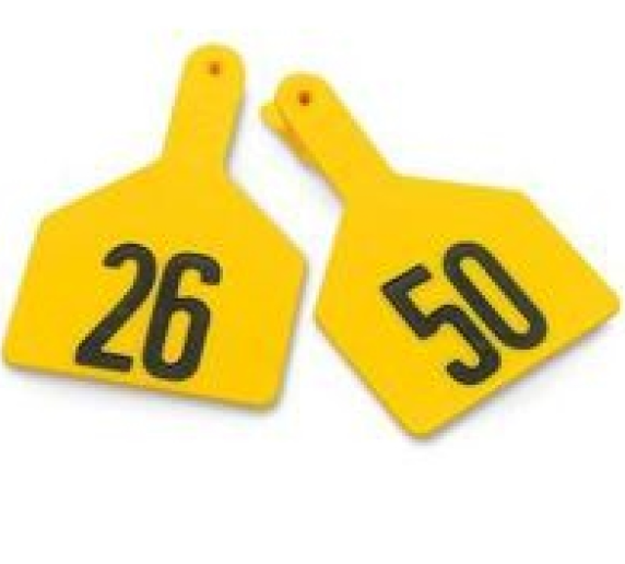 Z Tags No-snag Numbered Cow Id Ear Tags Yellow 26 - 50