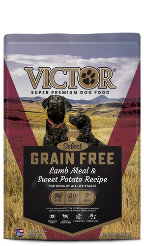 Victor Grain Free Lamb Meal & Sweet Potato Recipe