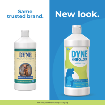 Dyne® High Calorie Liquid Nutritional Supplement for Dogs & Puppies (1-Gallon)
