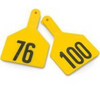 Z Tags No-snag Numbered Cow Id Ear Tags Yellow 76 - 100
