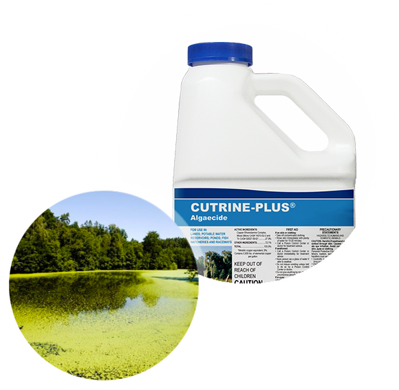 Applied Biochemists Cutrine® Plus Algaecide and Herbicide (1 Gallon)