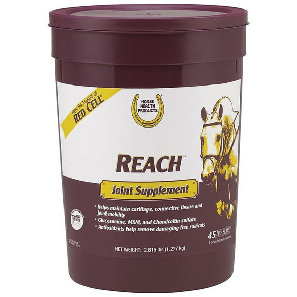 HORSE HEALTH PRODUCTS REACH JOINT SUPPLEMENT FOR HORSES